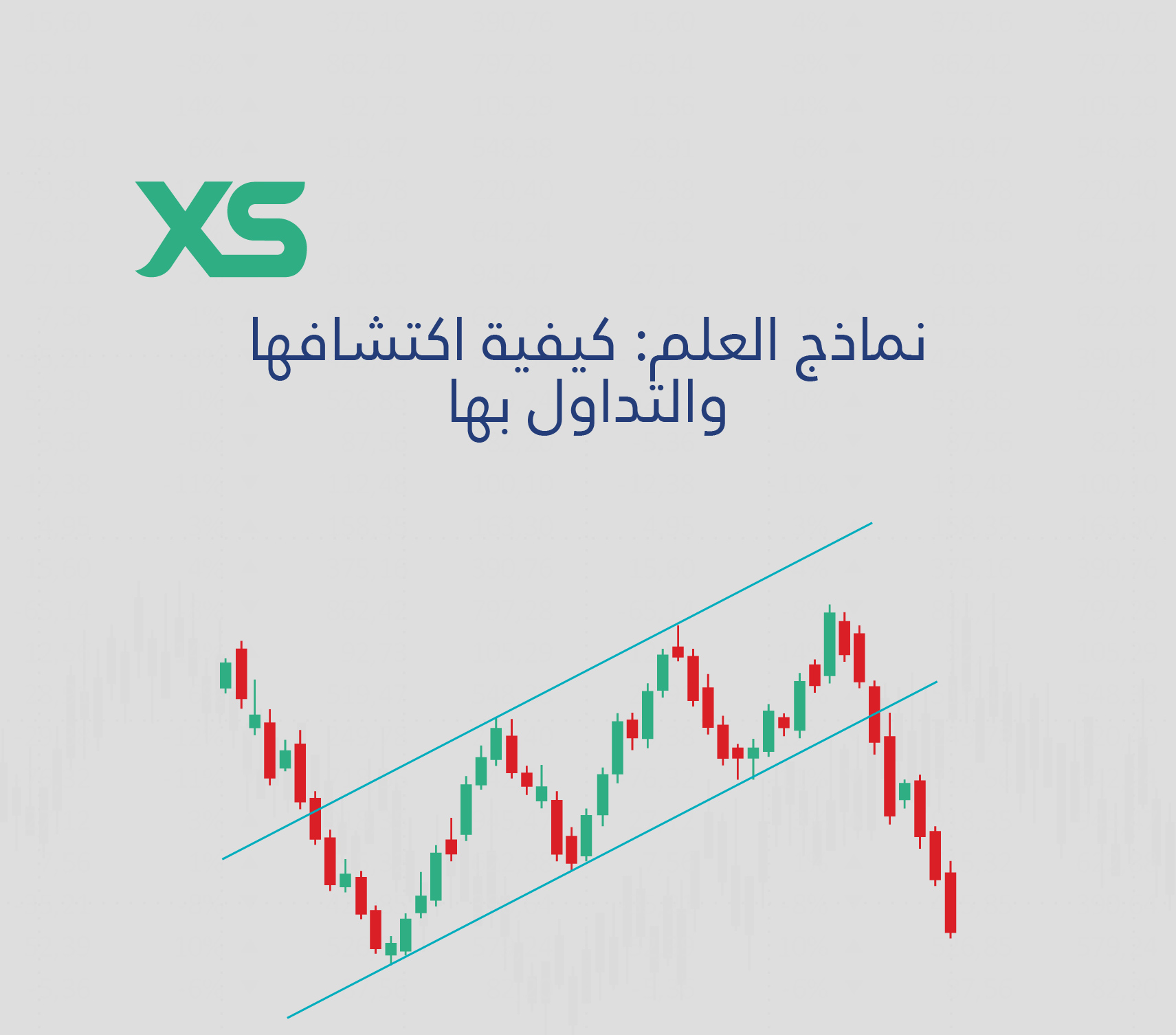 XS-نماذج-العلم