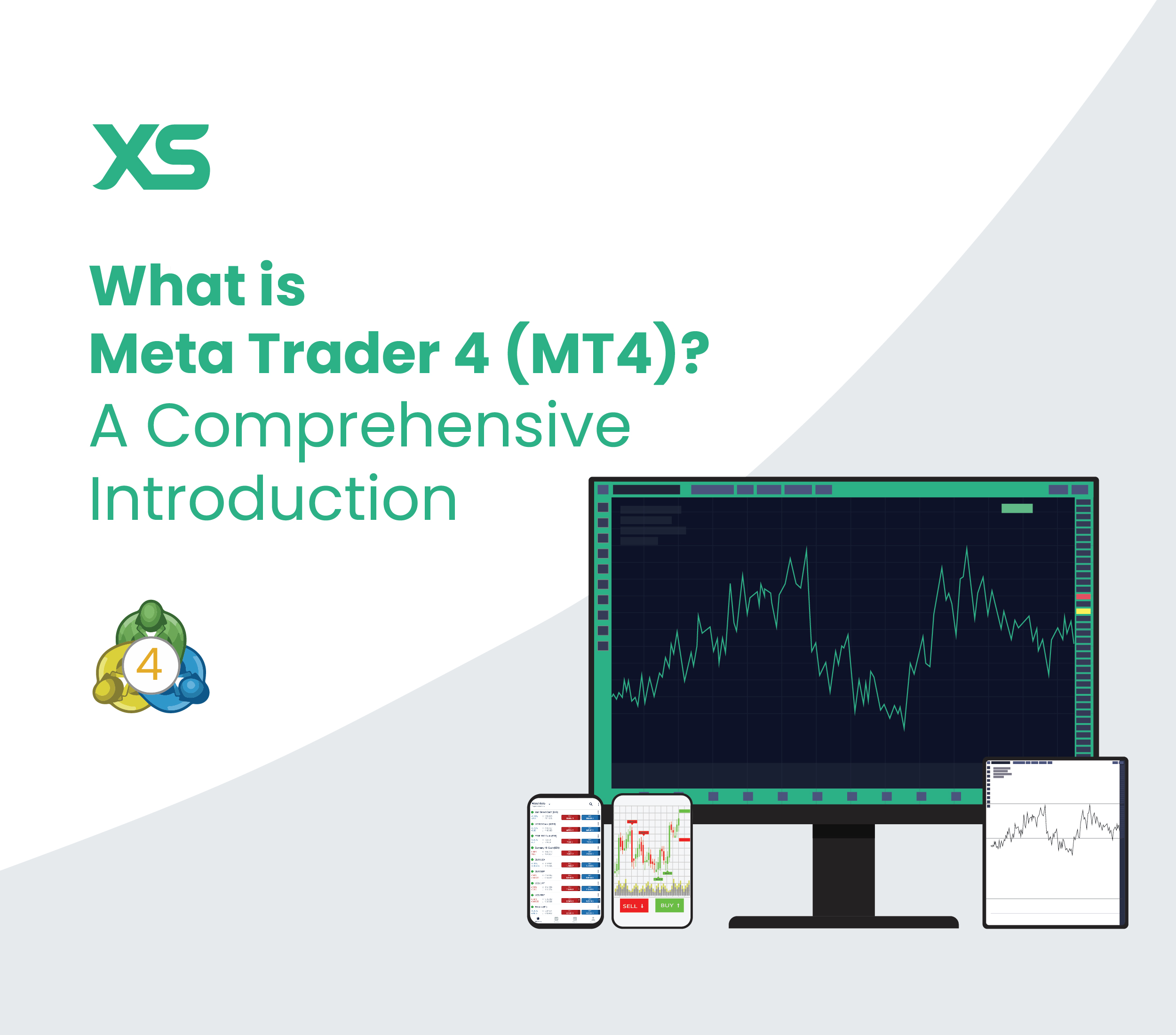 What is MetaTrader 4 (MT4)? A Comprehensive Introduction