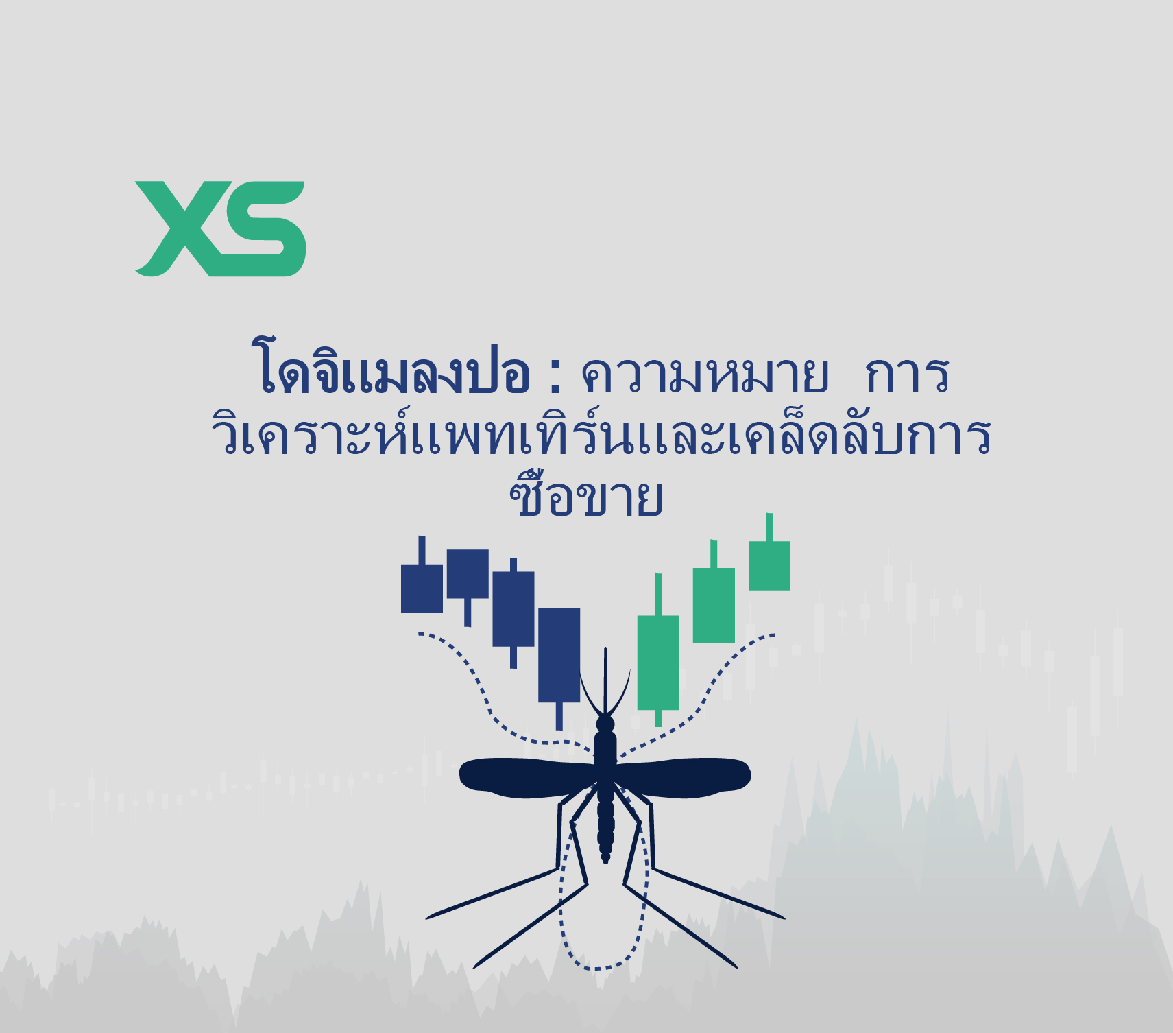 โดจิแมลงปอ-xs