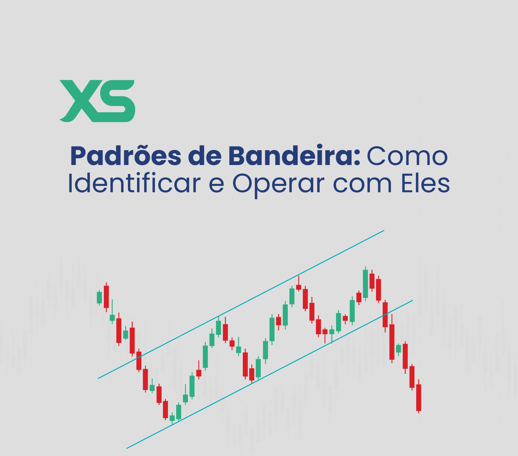 padrao-de-bandeira-xs