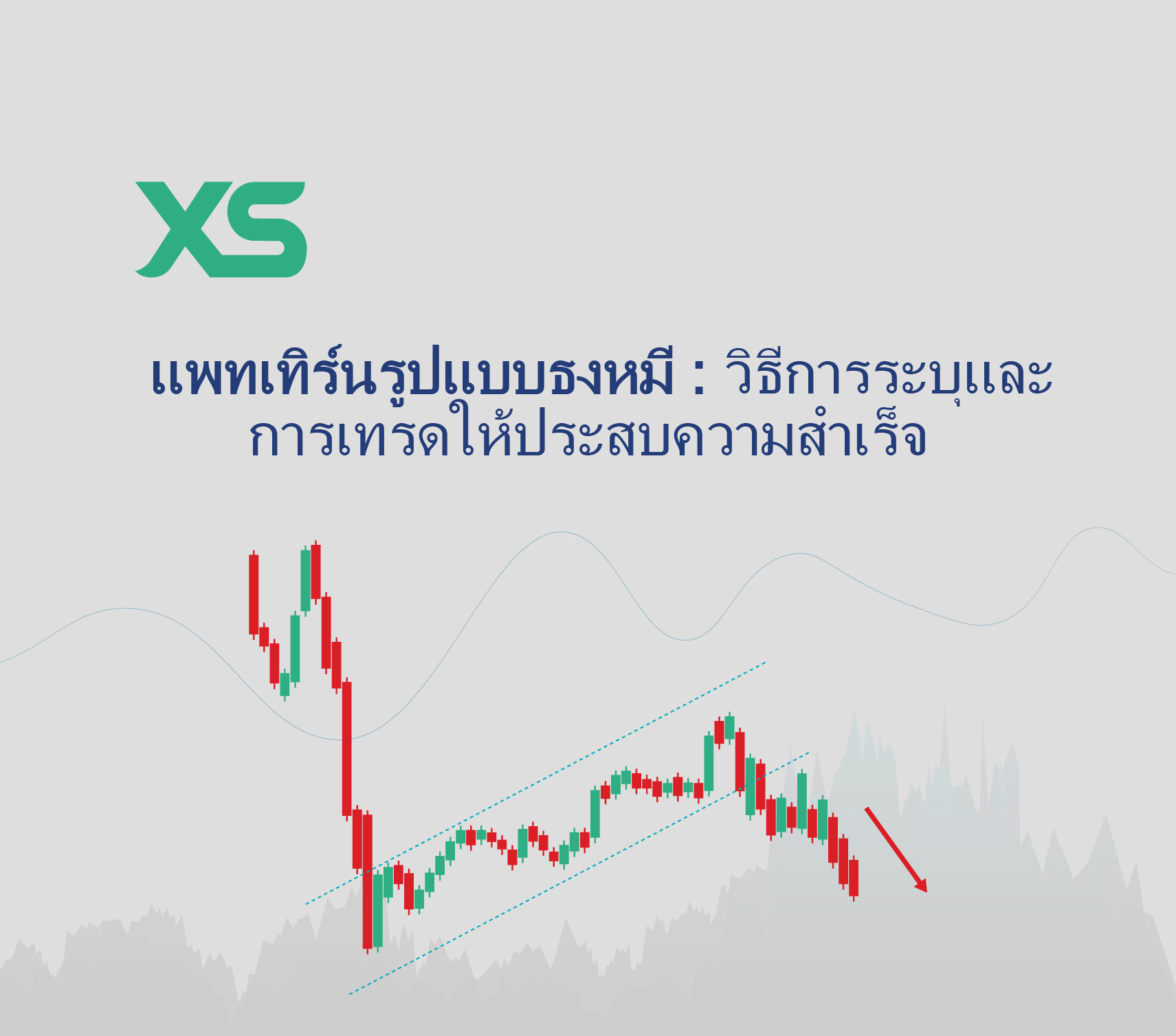 แพทเทิร์นธงหมี-xs