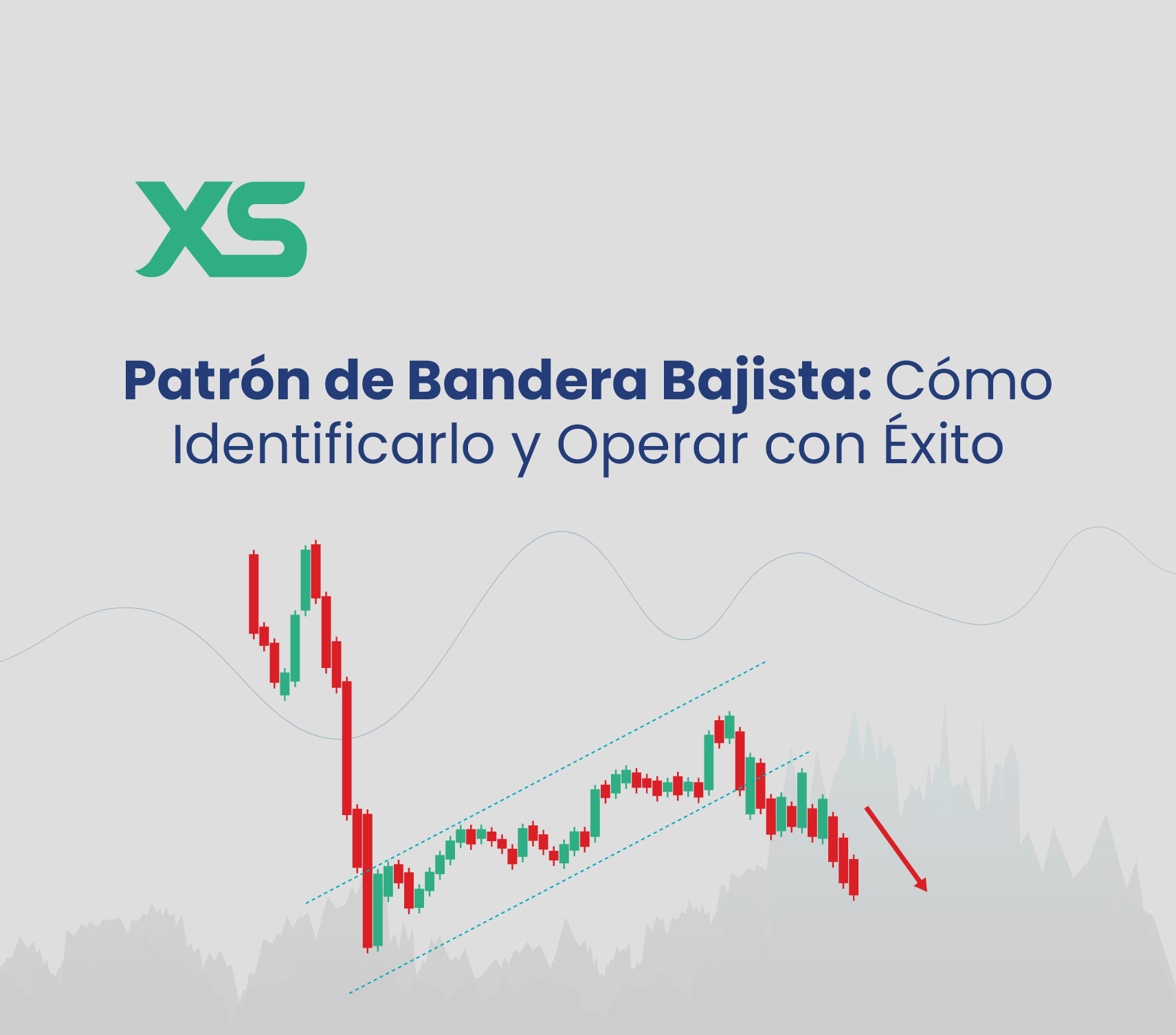 patron-bandera-bajista-xs