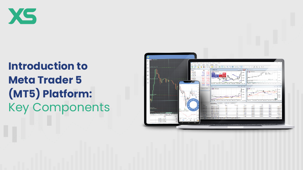 Introduction to Meta Trader 5 (MT5) Platform: Key Components