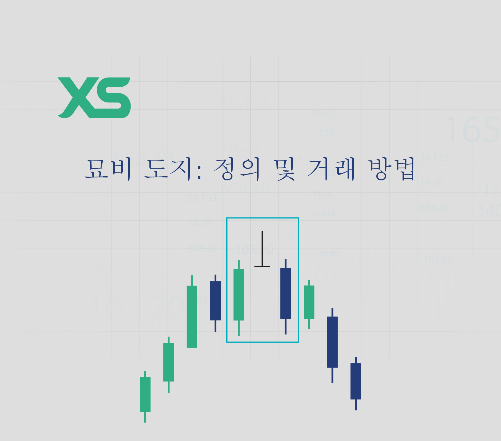 묘비도지-xs