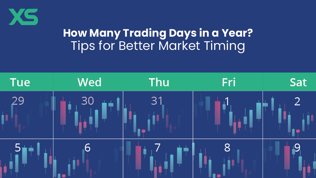 how-many-trading-days-in-a-year-xs