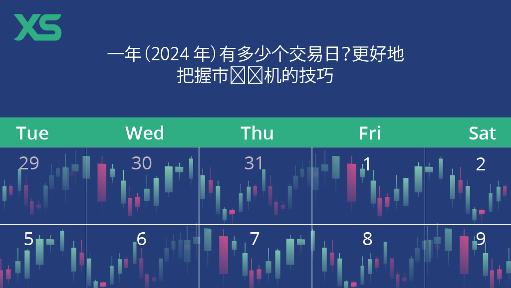 一年中的交易日