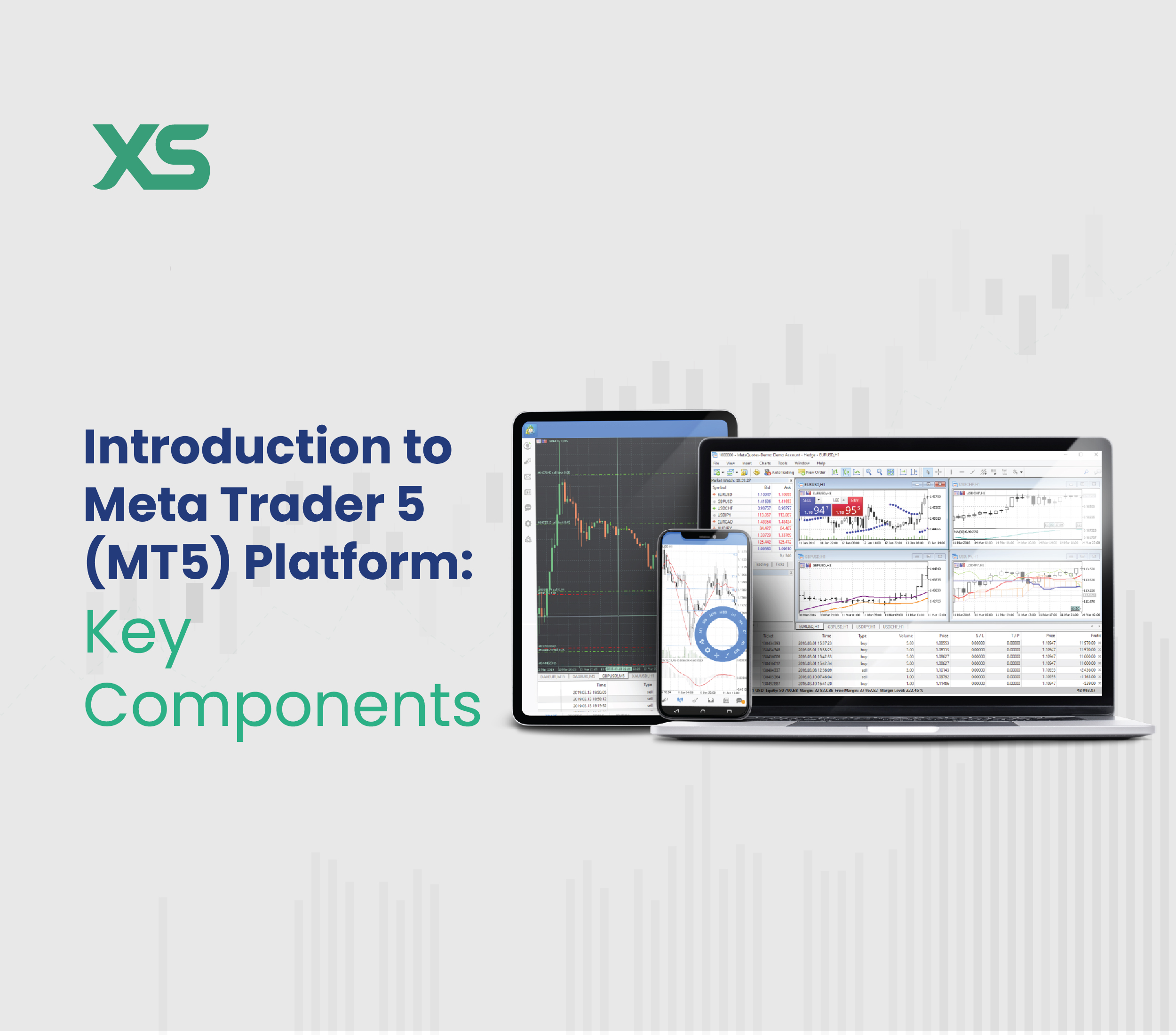 Introduction to Meta Trader 5 (MT5) Platform: Key Components